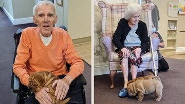 Puppy love at Hull care home